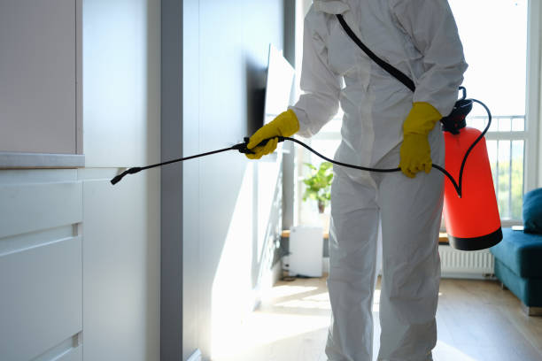 Mold Remediation for Rental Properties in Centerburg, OH