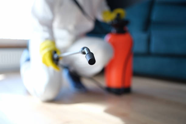 Best Mold Odor Removal Services  in Centerburg, OH